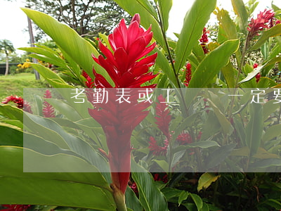 考勤表或工資條一定要員工簽名嗎？
